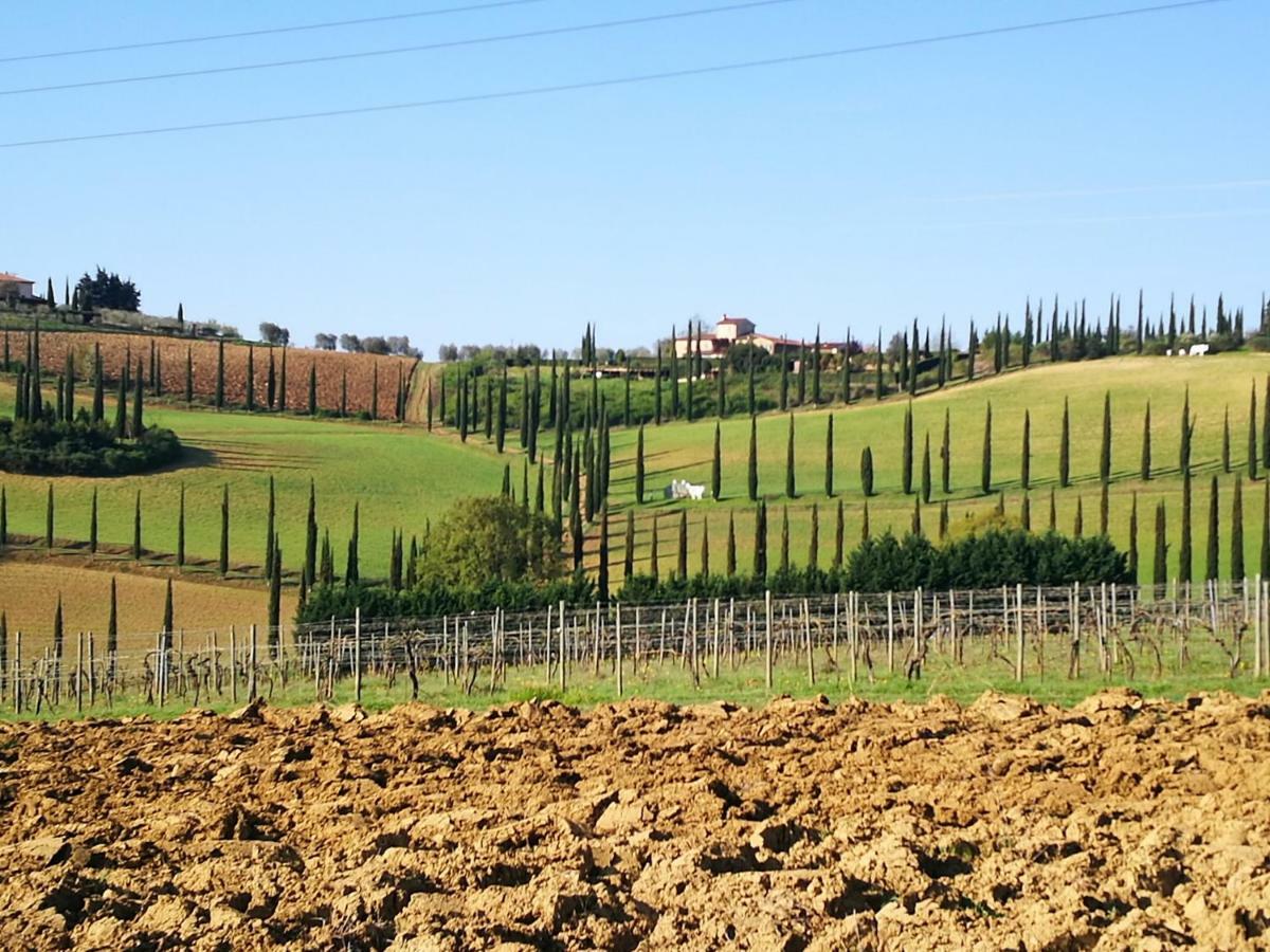 Castello Di Fulignano Ranuccio10 Superior Apartment San Gimignano Buitenkant foto